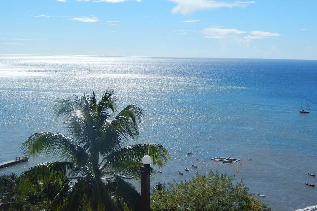 Villa Le Morne Charlotte Le Carbet Exterior foto