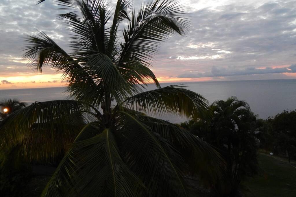 Villa Le Morne Charlotte Le Carbet Exterior foto